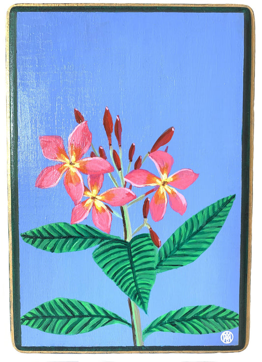 Pink Plumeria - Amaria Studio