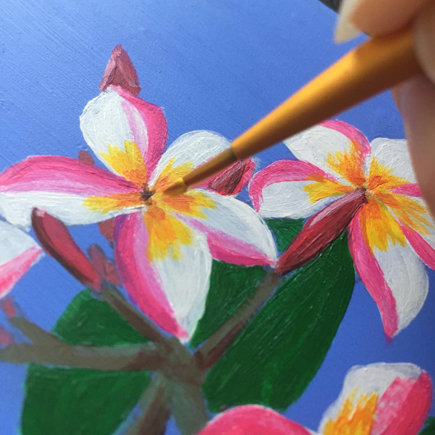Pink & White Plumeria Painting - Amaria Studio